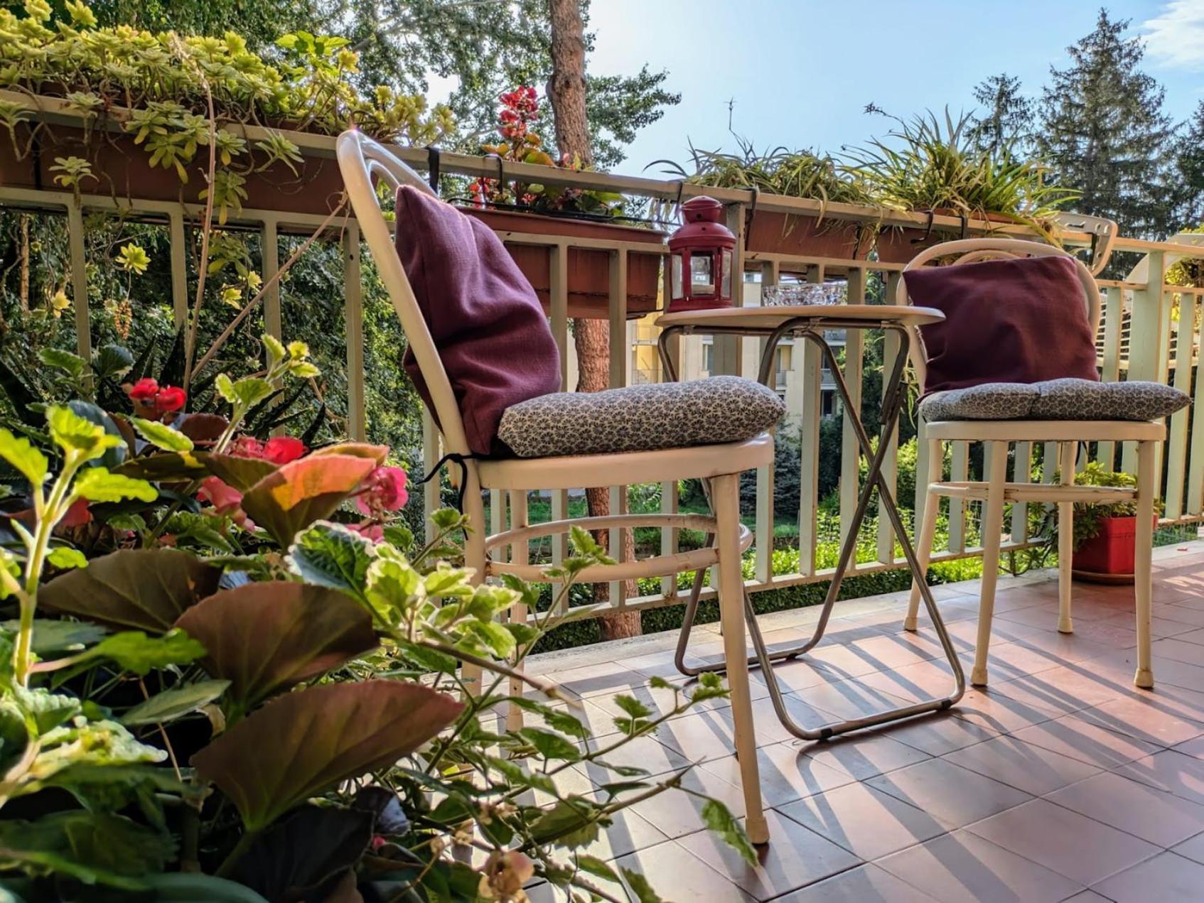 Appartamento Viale Puccini - Free Gated Parking - 3 Minutes From Center Lucca Eksteriør billede